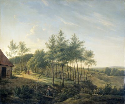 Kuperet landskab af Gerrit Jan Michaelis