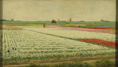 Tulipanmarker af Gerrit Willem Dijsselhof