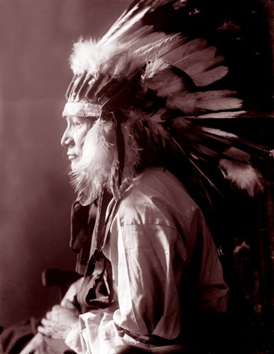 Hvirvelvindshest af Gertrude Käsebier