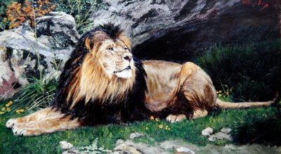 A Barbary or Atlas Lion, ca. 1890-1900 (olie på lærred) af Geza Vastagh