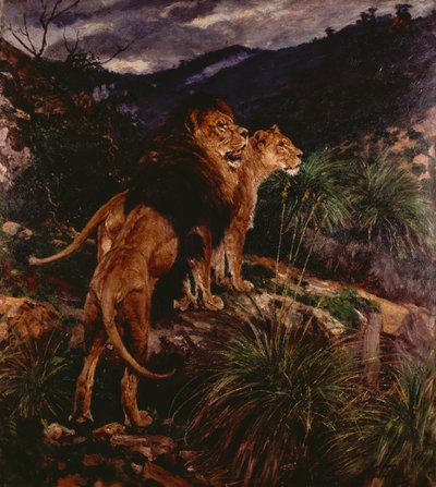 Lions Stalking (olie på lærred) af Geza Vastagh