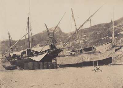 Salerne,1855 (foto) af Giacomo Caneva
