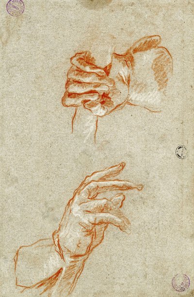 Studie af hænder. af Giambattista Tiepolo