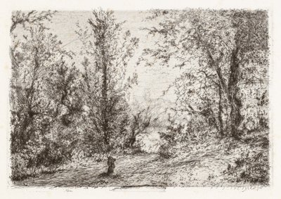 Skov ved Lago Maggiore [Skov ved Lago Maggiore] af Giberto Borromeo