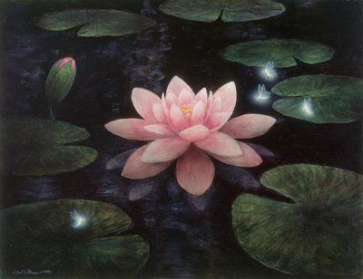 Lotus-sprites af Gilbert Williams