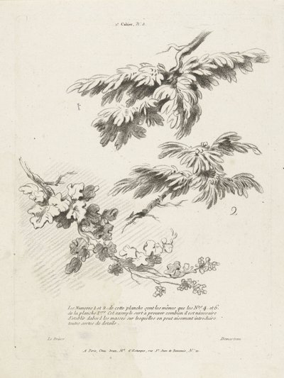 Undersøgelse af tre grene med blade 1er Cahier de paysage (serietitel) af Gilles Demarteau