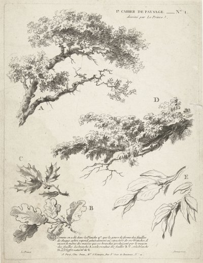 Undersøgelse af grene med blade 1er Cahier de paysage (serietitel) af Gilles Demarteau