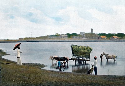 Colombo, Ceylon, c1890 af Gillot