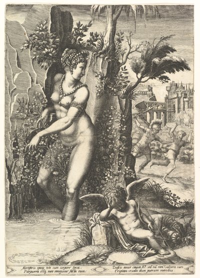 Venus prikket af tornene på en rosenbusk, i baggrunden Mars jagter Adonis, i ..., 1556. af Giorgio Ghisi