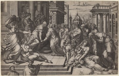 Besøget af Giorgio Ghisi after Francesco Salviati
