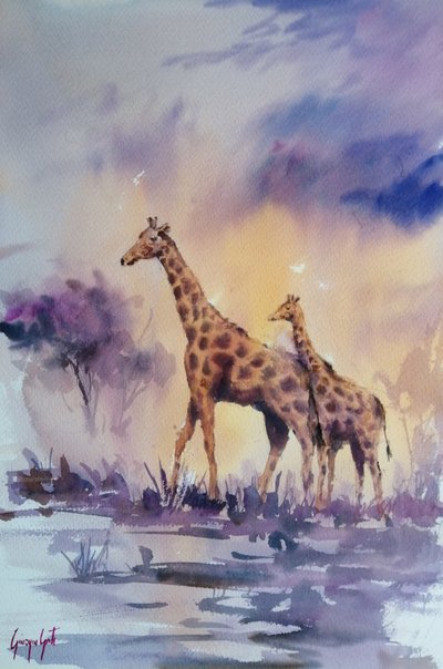 Afrikanske giraffer ved solnedgang af Giorgio Gosti