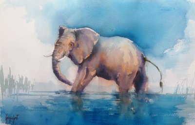 Den majestætiske elefant vader af Giorgio Gosti