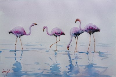 Rosa flamingoer i vandet af Giorgio Gosti
