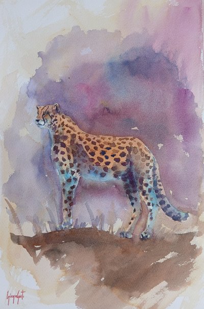 Gepard 13 af Giorgio Gosti