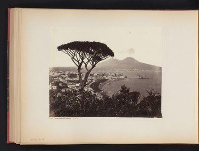 Udsigt over Napoli, Italien, med et fyrretræ i forgrunden Panorama-dalen Vomero Napoli (titel på objekt) af Giorgio Sommer