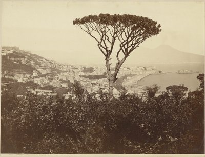  af Giorgio Sommer