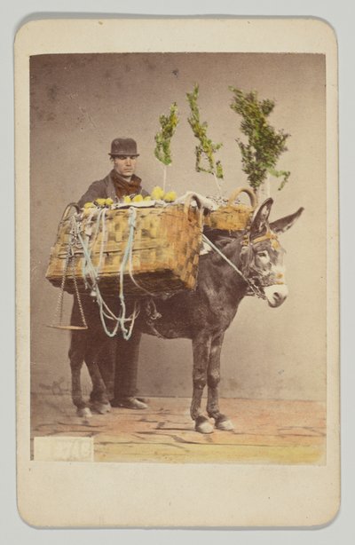  af Giorgio Sommer