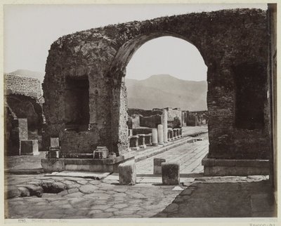  af Giorgio Sommer
