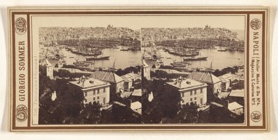 Panorama (Genova) af Giorgio Sommer