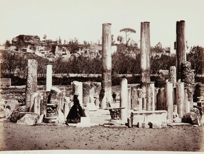 Serapis-templet i Pozzuoli, Napoli af Giorgio Sommer