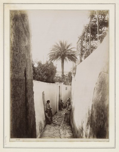  af Giorgio Sommer
