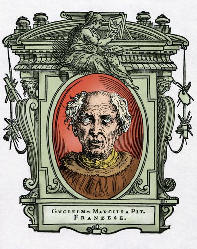 Portræt af William af Marcillat af Giorgio Vasari