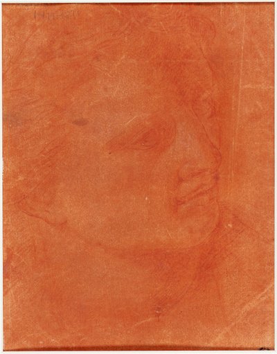 Leder i trekvart-profil (recto); Stående ung mand peger til venstre og skitser af fødder, arm (verso) af Giorgione