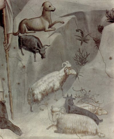 Scener fra Joachims liv: 5. Joachims drøm

 (detalje) af Giotto