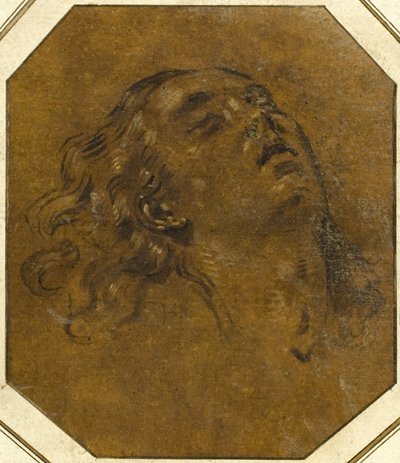 kvindeligt hoved af Giovan Gioseffo dal Sole