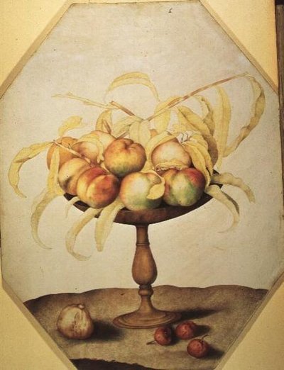 Skål med ferskner (tempera på vellum) af Giovanna Garzoni