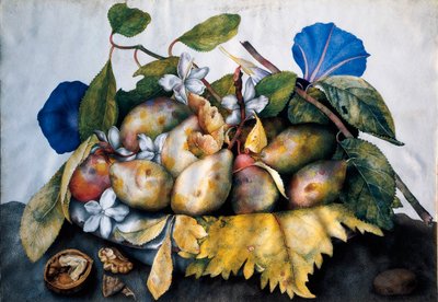 Tallerken med blommer, jasmin og nødder Maleri på pergament af Giovanna Garzoni (1600-1670) af Giovanna Garzoni