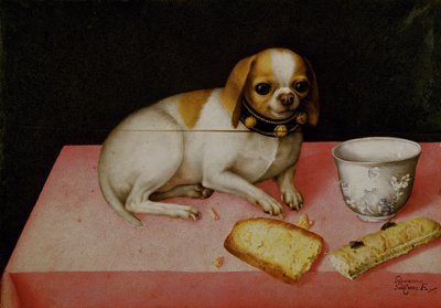 Portræt af en hund (olie på lærred) af Giovanna Garzoni