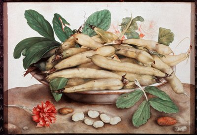 Stilleben med bønneplademaleri af Giovanna Garzoni (1600-1670) Firenze fra det 17. århundrede. Palazzo Pitti. af Giovanna Garzoni