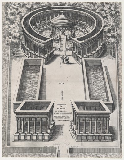 Mirror of Roman Magnificence: Ornithon Sive Aviarum, 1581., 1581. af Giovanni Ambrogio Brambilla