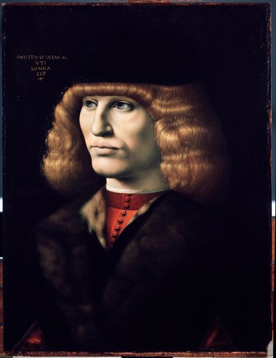 Portræt af ung mand, omkring 1495 (olie på træ) af Giovanni Ambrogio de Predis