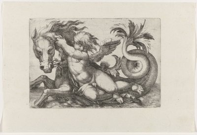 Putto rider på søhest af Giovanni Andrea Maglioli