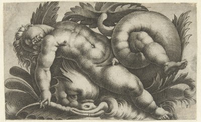 Sovende putto på delfin Putti om havdyr (serietitel) af Giovanni Andrea Maglioli