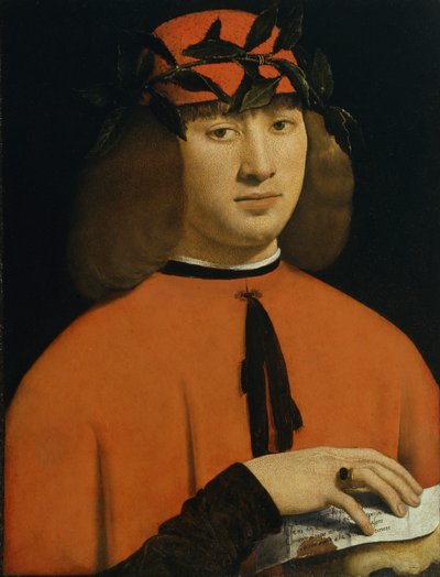 Portræt af en ung mand, ca. 1500 (olie på panel) af Giovanni Antonio Boltraffio