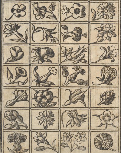 Eksempel på recammi, side 10 verso, 1530. af Giovanni Antonio Tagliente