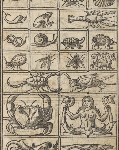 Eksempel på recammi, side 11 recto, 1530. af Giovanni Antonio Tagliente