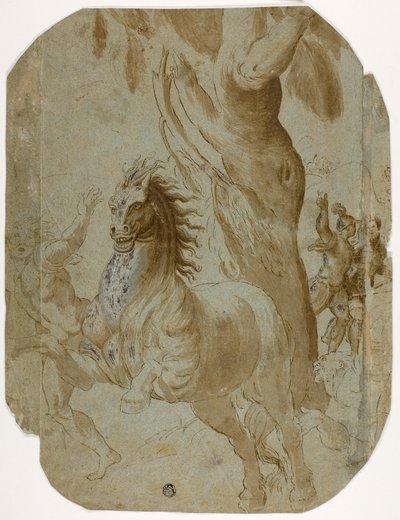 Omvendelse af St. Paul (recto); Mand set bagfra (verso) af Giovanni Antonio da Pordenone