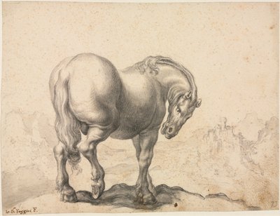 Studie af en hingst af Giovanni Battista Foggini