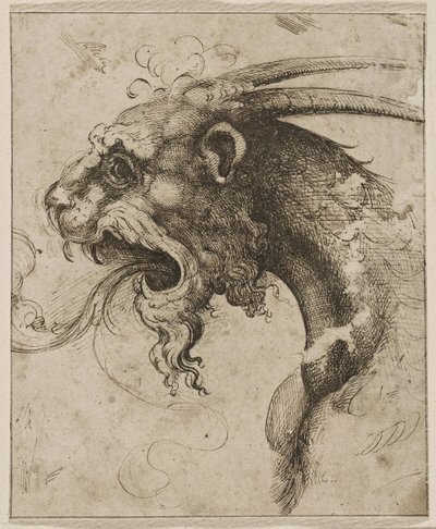 Hoved af en Chimera par Franco (kaldet Semolei) (pen, brunt indisk blæk på papir) af Giovanni Battista Franco