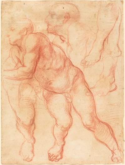 Studier af en mandlig nøgen af Giovanni Battista Naldini