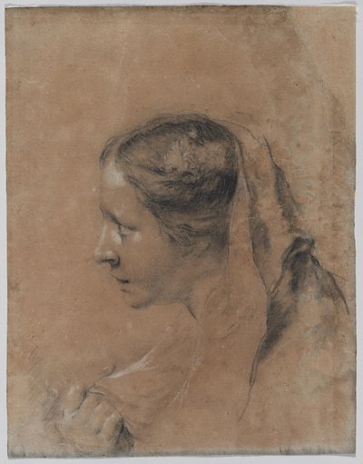 Hoved af en kvinde i profil med et tørklæde. af Giovanni Battista Piazzetta