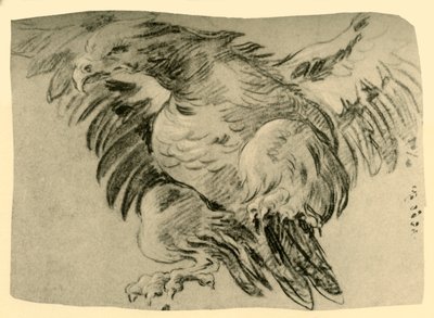 Eagle, 1751-1752, 1928 af Giovanni Battista Tiepolo