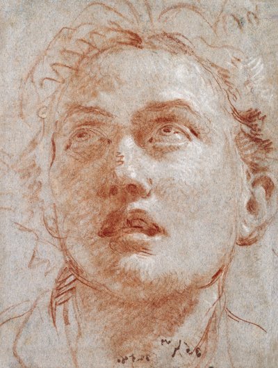 Hovedet af en mand ser op, af Giovanni Battista Tiepolo
