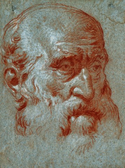 Leder af en venetiansk patricier, trekvart ansigt, af Giovanni Battista Tiepolo