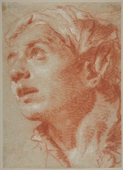 Hoved af en ung mand i trekvartprofil af Giovanni Battista Tiepolo