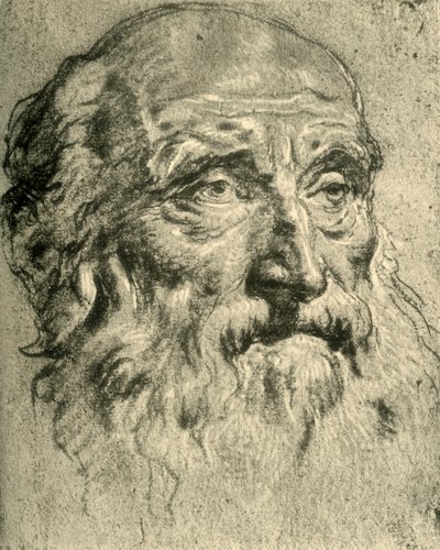 Head of an Old Man, midten af det 18. århundrede, 1928 af Giovanni Battista Tiepolo